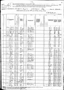 1880 United States Federal Census Dell Sr