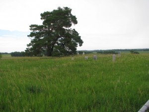Spirit Mound Cemetery Pic